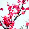 冬日暖阳的头像