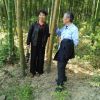 松柏树下的小花 的头像
