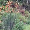 近听水无声的头像