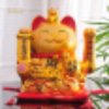 悠悠岁月的头像