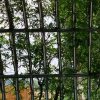 风雨的头像