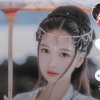 若相惜的头像