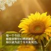 无语的世界的头像