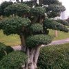何方的头像