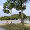 风淡云清的头像
