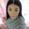 森林木的头像