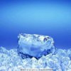  冰 的头像