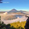 梦曦的头像