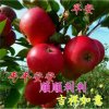 顺其自然的头像