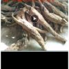 荣,的头像