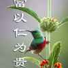 春天来了的头像