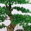 秋天的风霜的头像