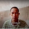 片片枫叶情的头像