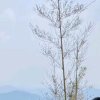 遇见就好的头像