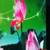 开开心心的头像