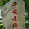 诚信的头像