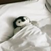 扫子_的头像