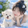 安静的头像