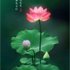 天天开心心情好的头像