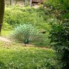 石花媄派燕窝面膜五盒299的头像