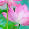 创意家具，艺术环保家具定制中心。的头像