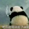 Krismile的头像