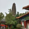 大展宏图的头像