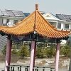 缘去缘来的头像