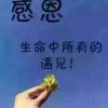 常晓兰的头像