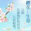 曲醉人生的头像