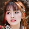 燕子的头像