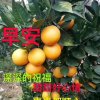 美好时光。的头像