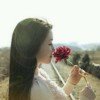 森林雨点～暂离的头像