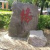本人的头像