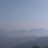 缘的头像