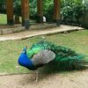 人生轮回的头像