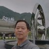 不老松的头像