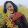 李燕的头像