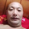 自由飞翔13643788789的头像