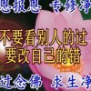 一莲（忙，暂退）的头像