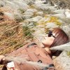 平凡的头像