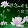 风雨人生的头像