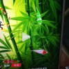 春 华 秋 实的头像