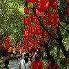 兰的头像