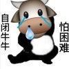 星原的头像