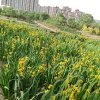 慧的头像