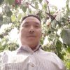 阳光牧业的头像