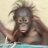 曲终人散的头像