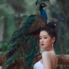 唇上的谱的头像