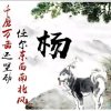 网事随风渐退的头像